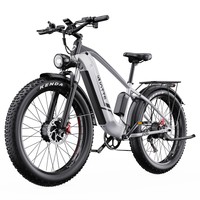 DUOTTS F26 Electric Mountain Bike 750W*2 Dual Motors Samsung 48V 20Ah Battery 26*4.0 Inch Fat Tires 55Km/h Max Speed 55 Degree Climbing Smart Color Display APP Dual Disc Brakes 150KG Max Load 100KM Range Smart App - Silver
