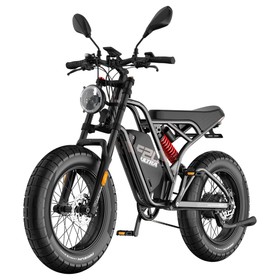 Fafrees F20 Ultra E Bike 750W 48V 25Ah Hydraulic Disc Brakes Black