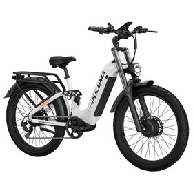 PULUMA PE97 Pro Electric Bike 500W*2 48V 20Ah