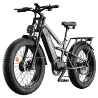 FENGQS H6PRO Electric Bike, 1000W*2 Motor, 52V 17.5Ah Battery, 26*4.0 inch Tires, 60km/h Max Speed, 140km Range, 7-speed, LCD Display - Grey