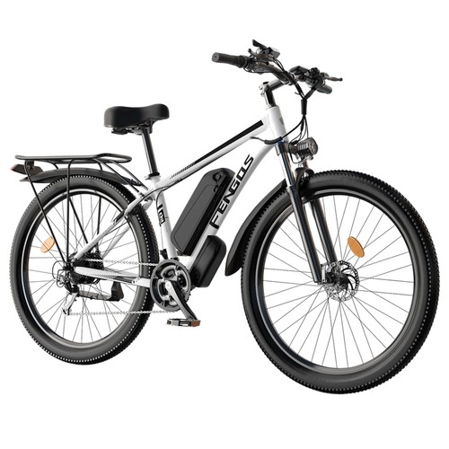 FENGQS Q8 Elektrofahrrad 750W 48V 17,5Ah Weiß