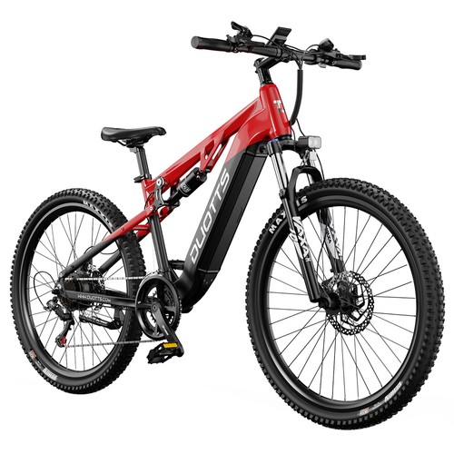 DUOTTS E29 Elektrofahrrad 250W 48V 13,5Ah Schwarz Rot