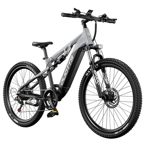 DUOTTS E29 Elektrofahrrad 250W 48V 13,5Ah Silberweiß