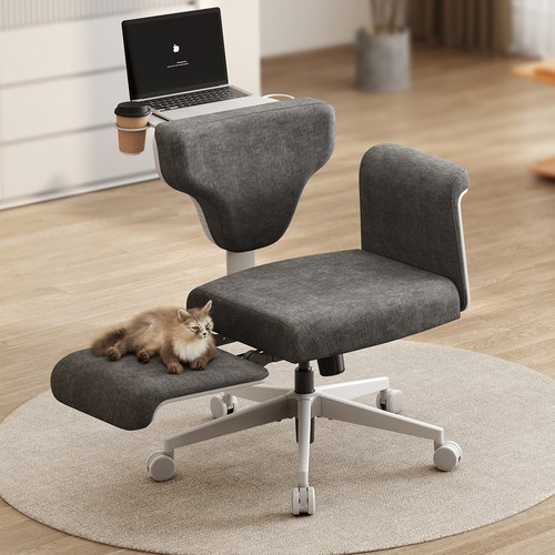 椅子 FB X NEWTRAL Freedom-X-FB Multi-Posture Chair with Armrest Dark Gray