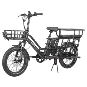 Fafrees FF20 CUV Electric Cargo Bike 250W Black