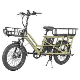 Fafrees FF20 CUV Electric Cargo Bike 250W Green