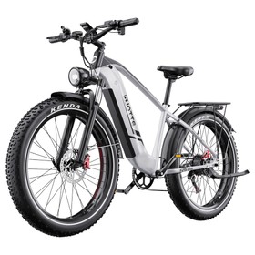 DUOTTS F26 Lite Vélo électrique 500 W 48 V 18 Ah Argent Blanc