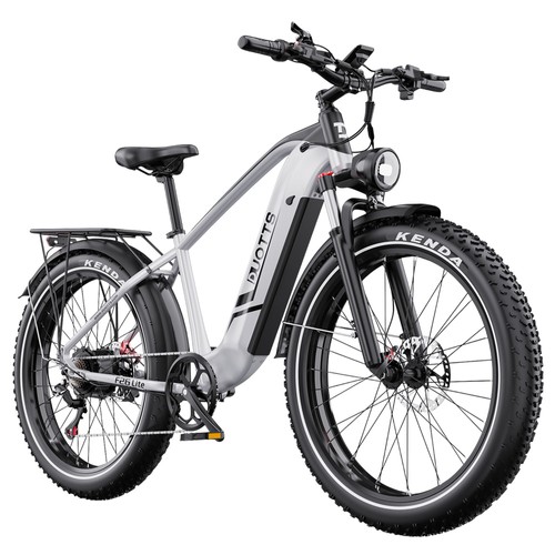 DUOTTS F26 Lite Elektrofahrrad 500W 48V 18Ah Silberweiß