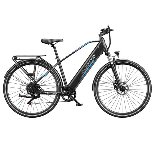 DUOTTS C29 Lite Elektrofahrrad 250W 36V 13Ah
