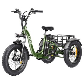 Vipcoo VC-ET1 Electric Tricycle 750W 48V 20Ah 40km/h