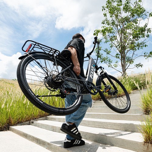 PIXAR Cruiser Elektrofahrrad 250W 36V 12,8Ah 25km/h Schwarz