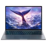 Blackview GamiBook 8 Laptop, 16 Zoll 1920*1200 IPS Bildschirm, AMD Ryzen 7 7735HS 8 Kerne, 16GB RAM 512GB SSD, WiFi 6, 57Wh Akku, Dual-Lautsprecher, Fingerabdruck-Entsperrung, 2*Vollausgestattete Type-C, 2*USB3.2, 1*USB2.0, 1*HDMI, 1*TF-Kartensteckplatz, 1*Audioanschluss
