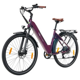 TTGO C3 Pro elektromos kerékpár 250W 36V 20Ah 25km/h piros