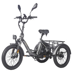 Fafrees F20 Mate Elektrodreirad, zertifizierte Version, 30 km/h, Grau