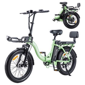 TWOFISH TF02 Electric Bike 250W 36V 17.8Ah 25km/h Green