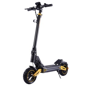 TWOFISH V2 MAX Electric Scooter 600W 48V 17Ah 53km/h