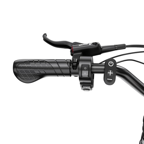 DUOTTS F20 Elektrofahrrad, 750-W-Motor, 27-Ah-Akku, Schwarz