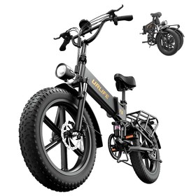 URLIFE T5 Electric Bike 750W 48V 13Ah 45km/h Black