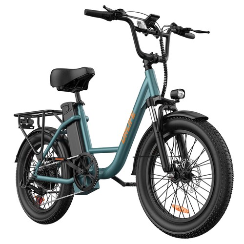 URLIFE E20 Elektrofahrrad 250W 48V 13Ah 25km/h Grün