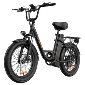 URLIFE E20 Vélo électrique 250 W 48 V 13 Ah 25 km/h Noir