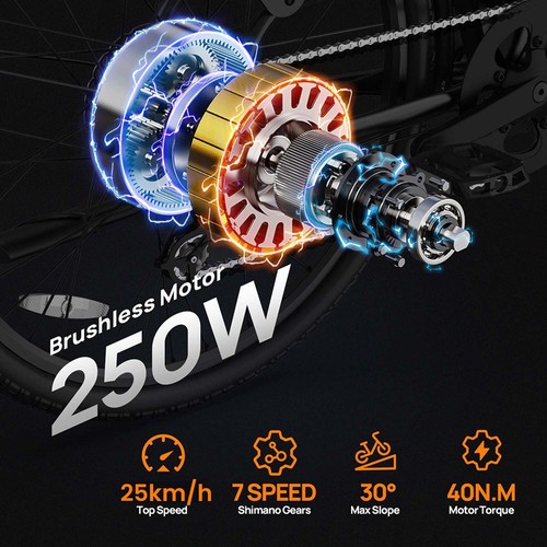 URLIFE E26 Elektrofahrrad 250W 36V 13Ah 25km/h Weiß