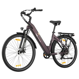 TTGO C3 SE Electric Bike 250W 36V 18Ah 25km/h Purple