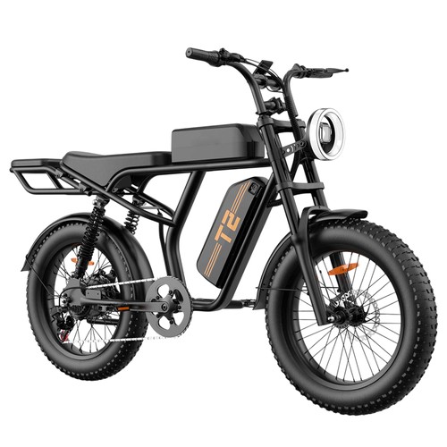 URLIFE T2 Elektrofahrrad 500W 48V 15,6Ah 25km/h Schwarz