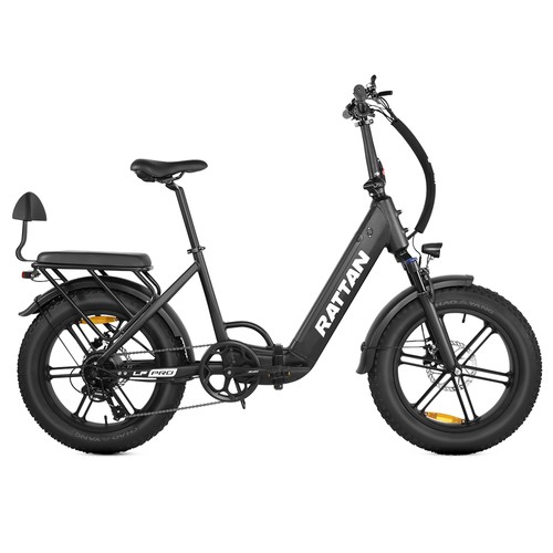 RATTAN LF Pro Elektrofahrrad 750W 48V 18Ah