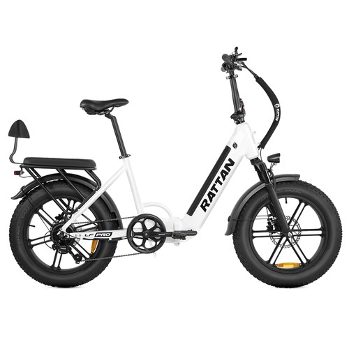 RATTAN LF Pro Elcykel 750W 48V 18Ah