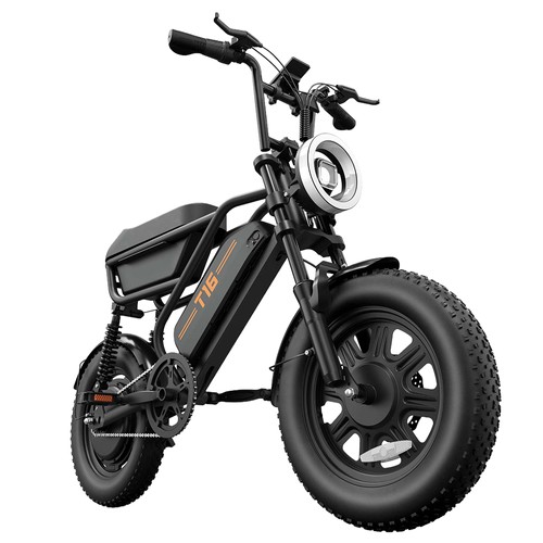 URLIFE T16 Elcykel 250W 48V 13Ah