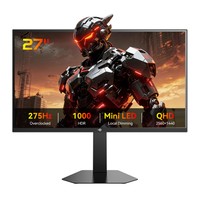 TITAN ARMY P276MS Gaming Monitor, 27