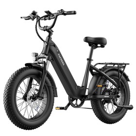 FAFREES F20 Rover Electric Bike 250W 48V 15Ah Black