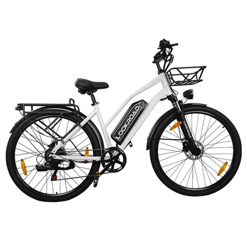 LOOKROAD L28 Elektrofahrrad 500W 36V 23Ah Grau