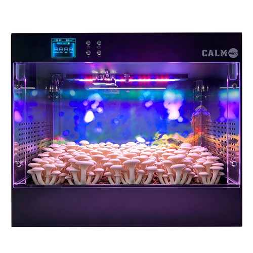 LTQ Vapor EL-01 Multifunktionale Smart Grow Box