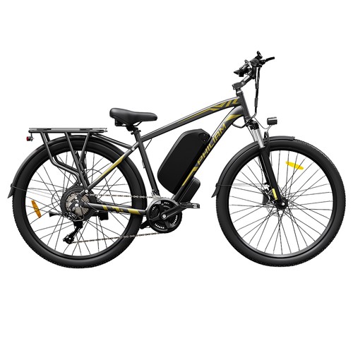 PHILIAM F2 PRO Elektrofahrrad 750W 48V 25Ah Schwarz