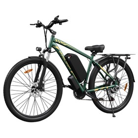 PHILIAM F2 PRO Electric Bike 750W 48V 25Ah Green