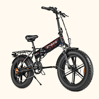 20" fat tire, 7 speed gear, dual disc brakes with removable 48V 12.8A battery