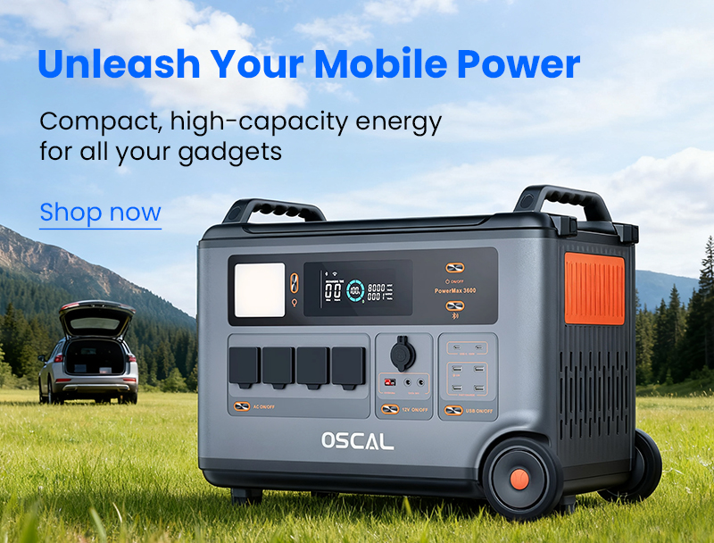 Portable Power