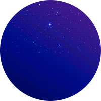 Black Friday Sale 2025