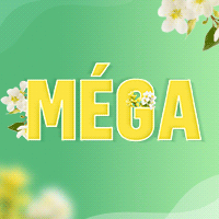 Méga promotions de mars 2026