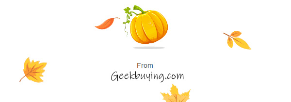 geekbuying banner