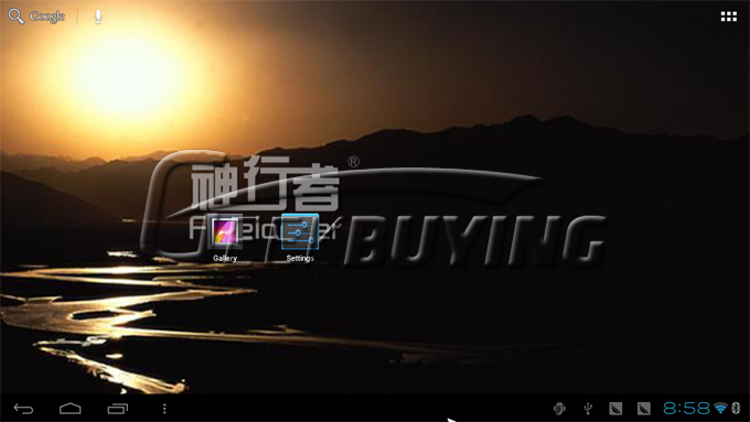 Freelander AP10 Google Android TV BOX RK3066 Dual Core 1G/4G TV BOX w/ Free Gyroscope Air Mouse