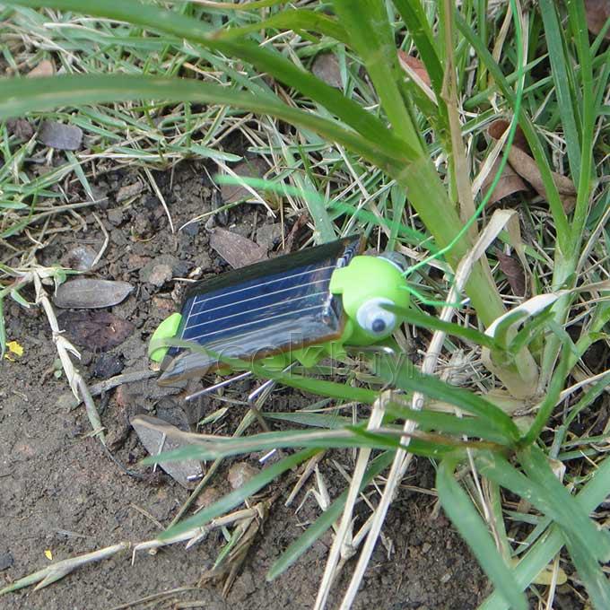 Magic Mini Plastic Solar Energy Powered Toy