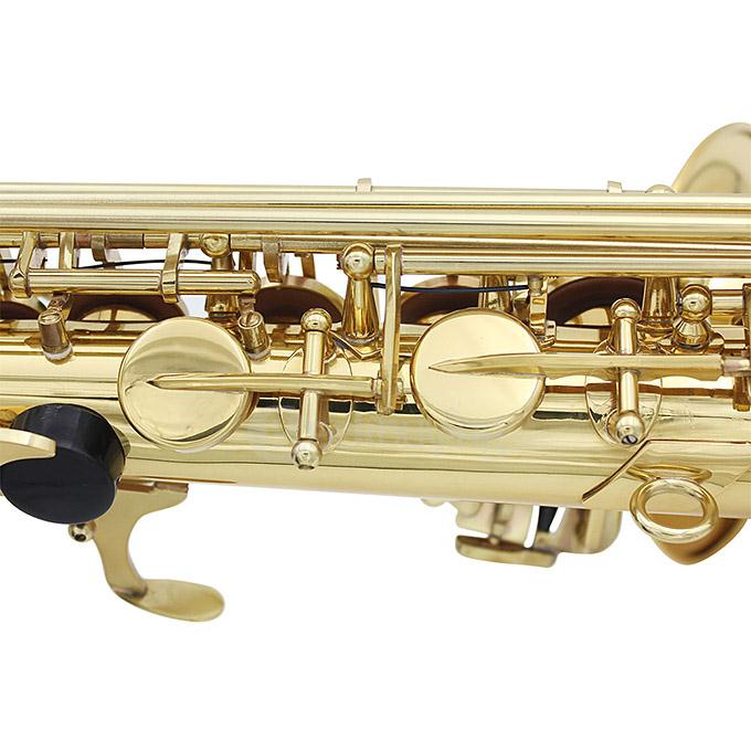 LADE WSS896 Classic Carve Patterns Brass bE Alto Saxophone with Pearl