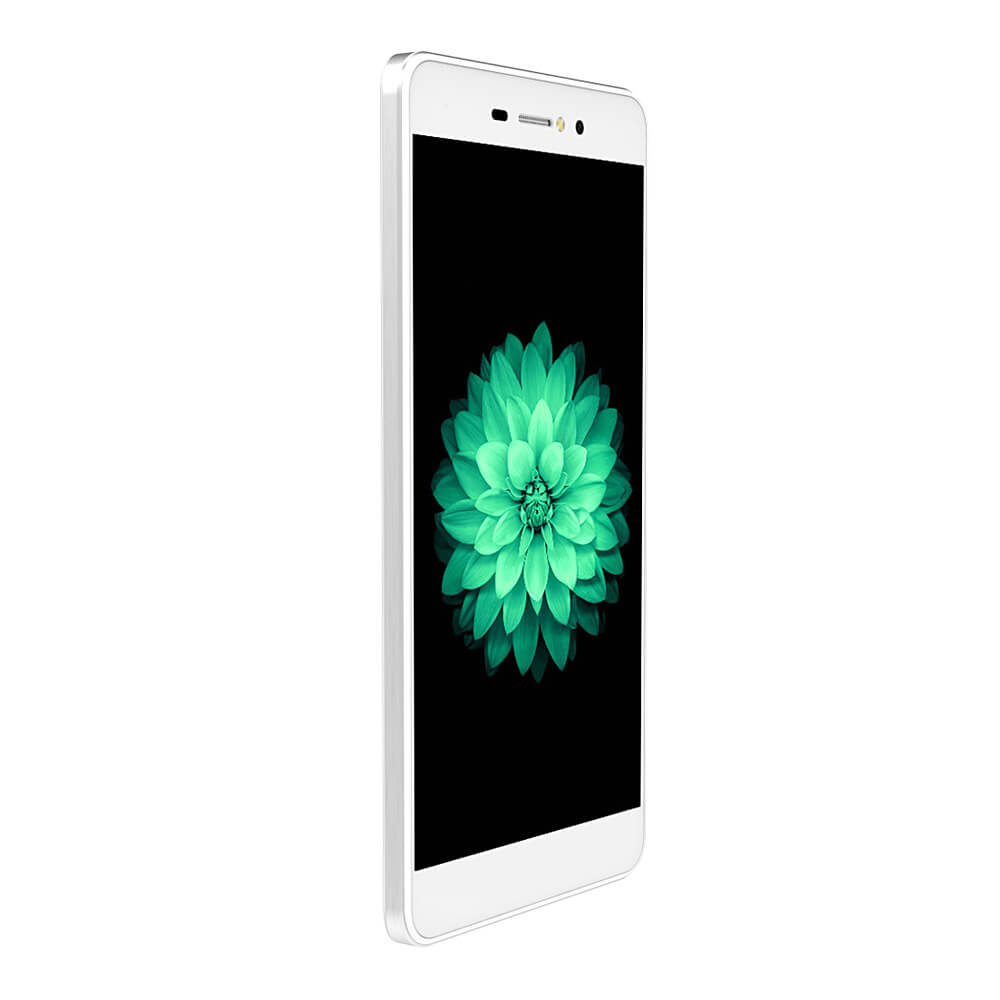 [HK Stock]BLUBOO Picasso 5.0inch IPS HD Android 5.1 Smartphone(Gold) + Soft Case(Transparent) + Screen Protector