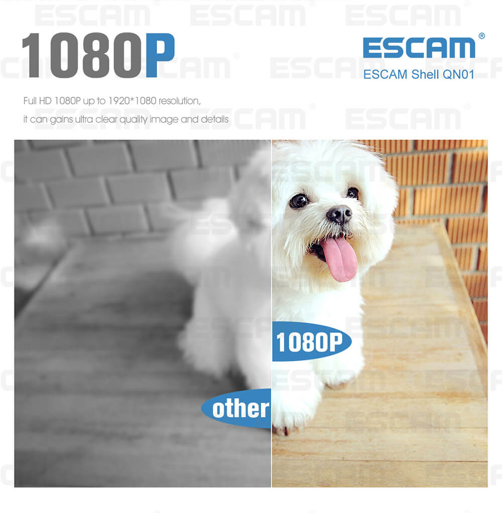ESCAM Shell QN01 FHD 1080P WiFi Ambarella Chipet IP Camera Camcorder Night Vision Network Camera
