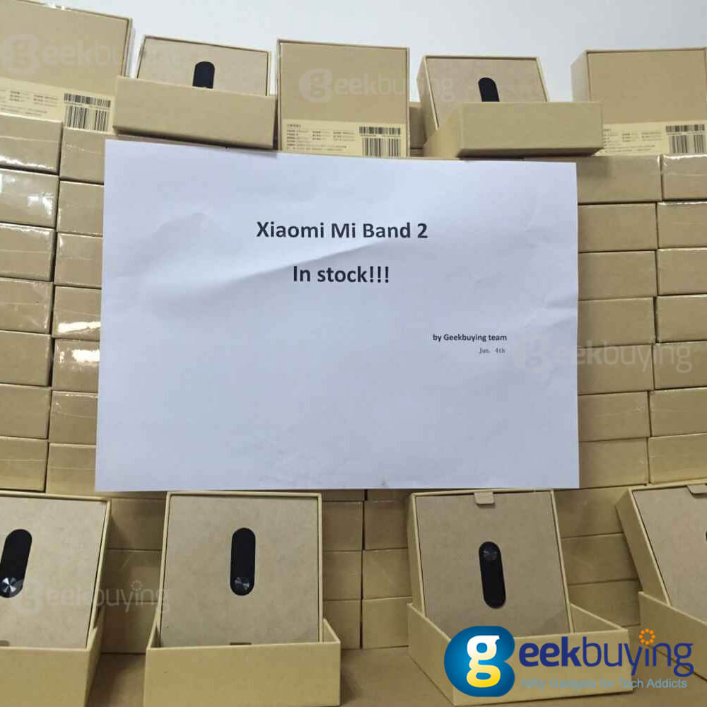 [Package I]Original Xiaomi Mi Band 2 Smart Bracelet + Mijobs Metal Strap (Gold) + Mijobs PET Protective Screen Films (2PCS)