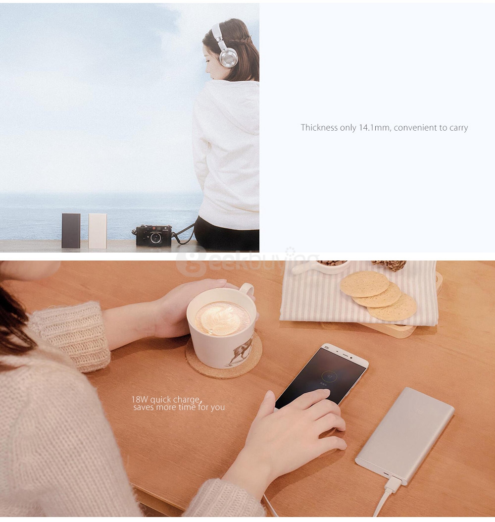 Original Xiaomi Ultra-thin 10000mAh Lithium Polymer Power Bank 2 - Silver