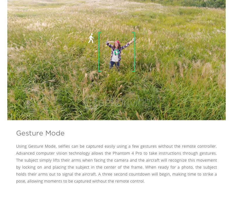 DJI Phantom 4 Pro+ 5.5