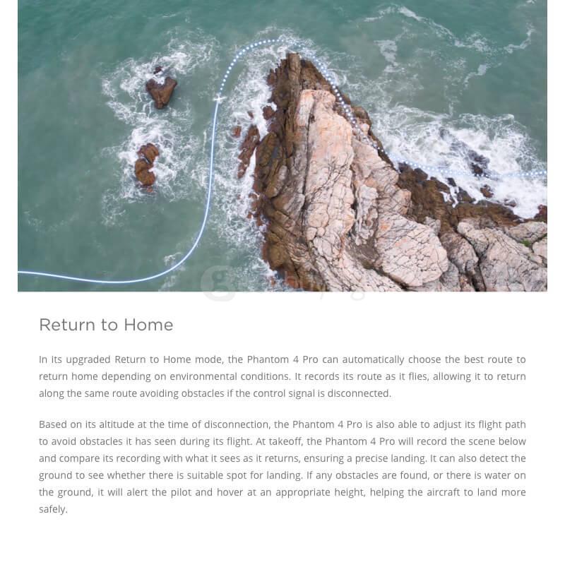 DJI Phantom 4 Pro+ 5.5